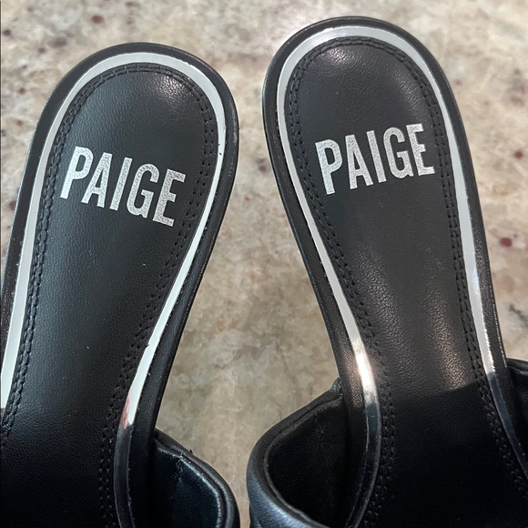 Paige slide - Picture 2 of 5